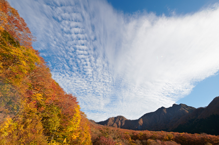 鳥取 大山紅葉 2017 （前編） ／ Nikon D850 with AF-S NIKKOR